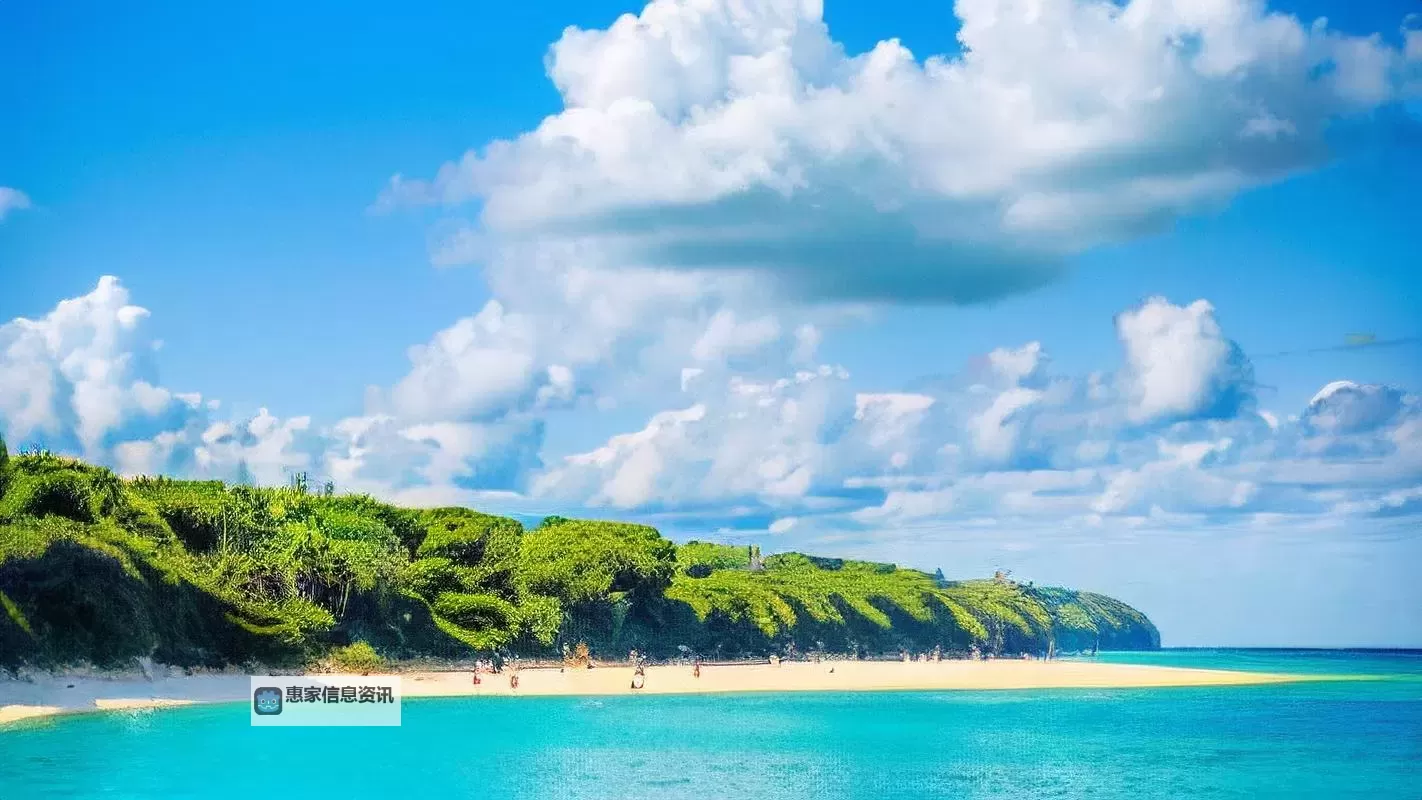 探索久久久久久久久久久综合的精彩世界:全面解析与深度体验图1