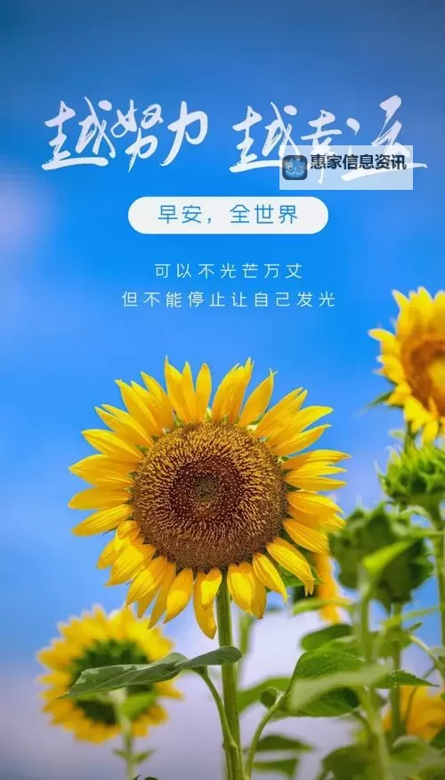 畅享正能量视频无限观看：每日正能量源源不断图1