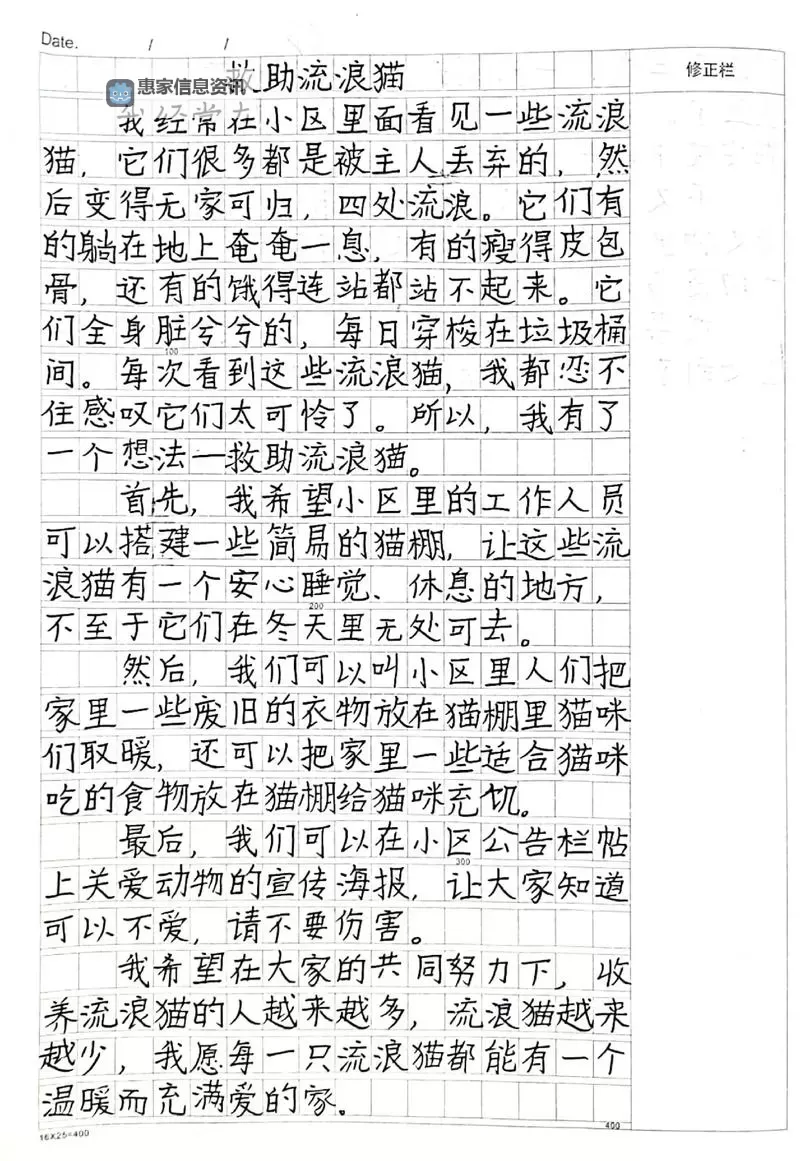 温暖行动:用爱心拯救小猫咪的感人故事图1