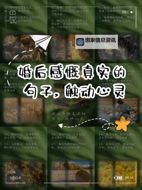 真实体验:细腻描绘人妻生活的点滴与感悟图1