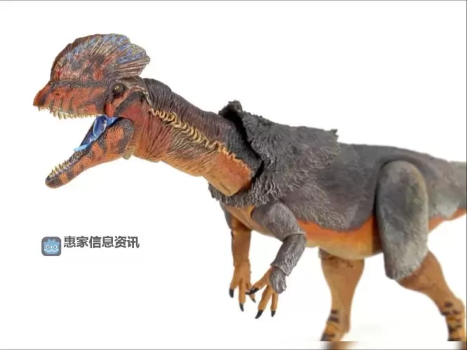 双腔龙的资料大全:全面解析这一远古兽类的秘密图1