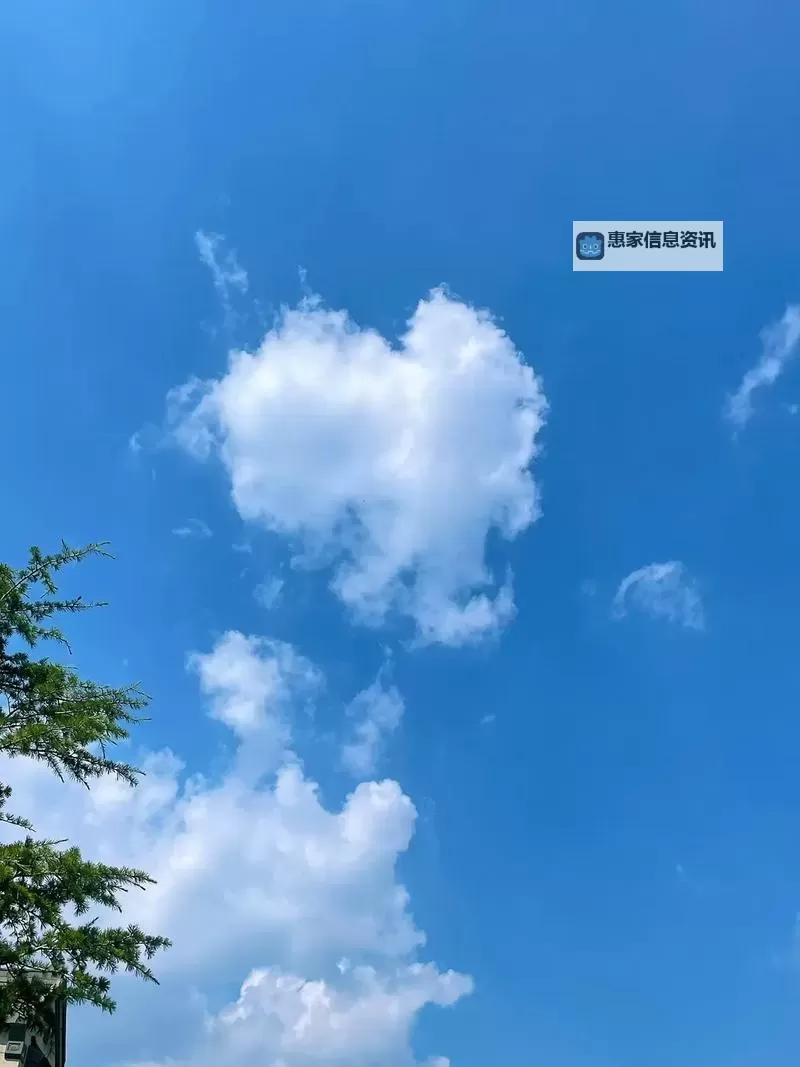 最新一本道dvd更新:全新内容精彩呈现图1