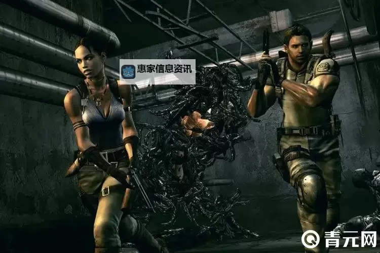 生化危机5可以双人玩吗?详解双人游戏体验与合作方式图2