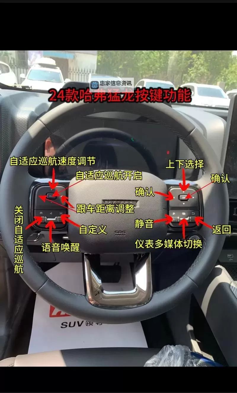 龙啸警戒姿态按什么键：操作指南与技巧详解图2