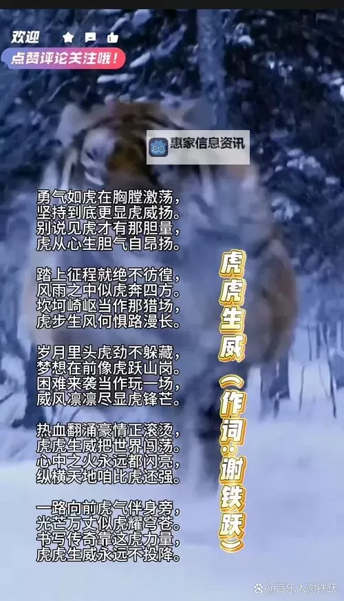 虎啸龙咆怎么释放:释义与实用技巧解析图2