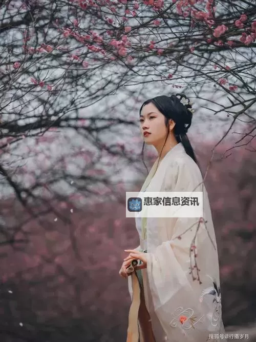 综琼瑶之九天一色:缱绻情缘中的天幕之美图1