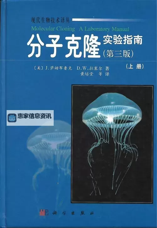 怎样克隆空间:科技与未来的探索之路图1