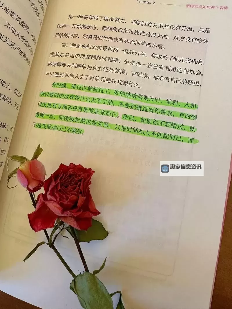 只是爱要怎么说出口:表达真情的温柔指南图2