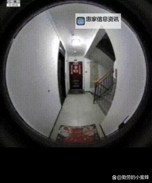 自己在摄像头前玩给我们看:趣味瞬间大放送图1