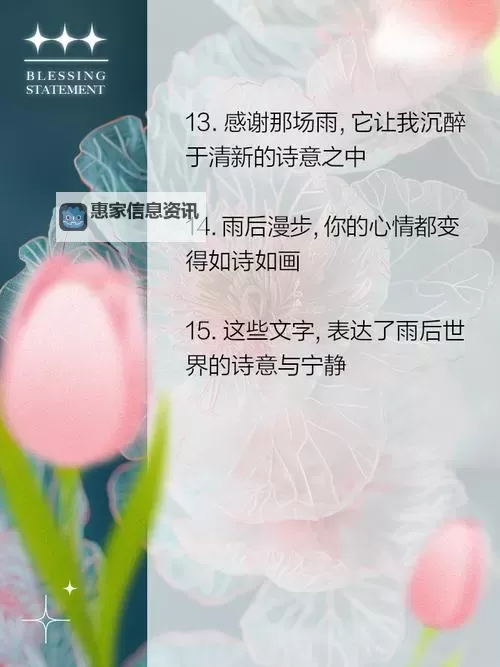 雨后的故事:洗净尘埃的愿望与新生图1