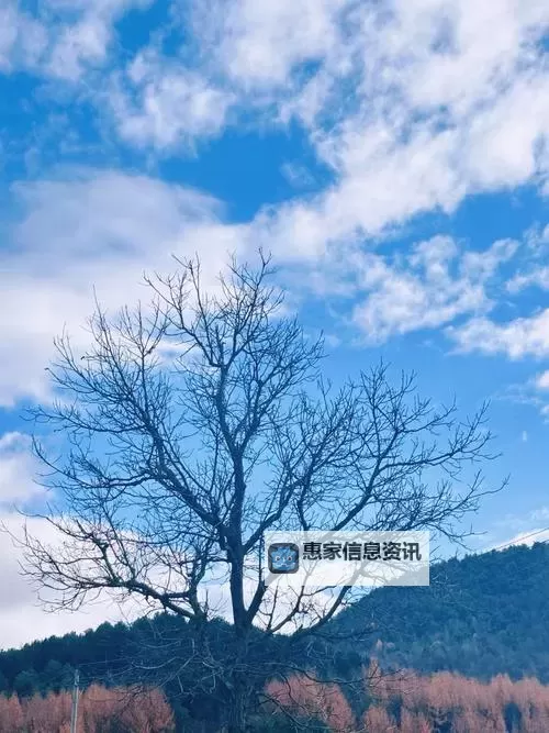 探索最新热门美女脱衣服的APP推荐与安全指南图2