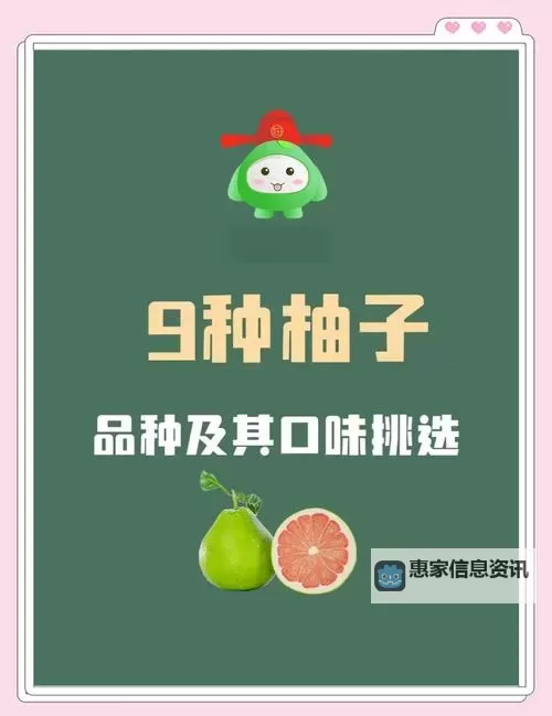 探索最新的tv柚子精品视频:高清观看体验全解析图2