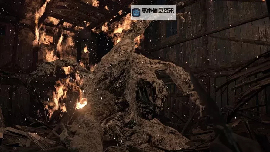 全面揭秘:生化危机1到7怪物大全全攻略图2