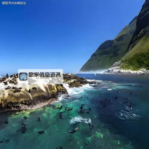 蓝色导航that1变成什么了:揭秘最新变化与未来趋势图1