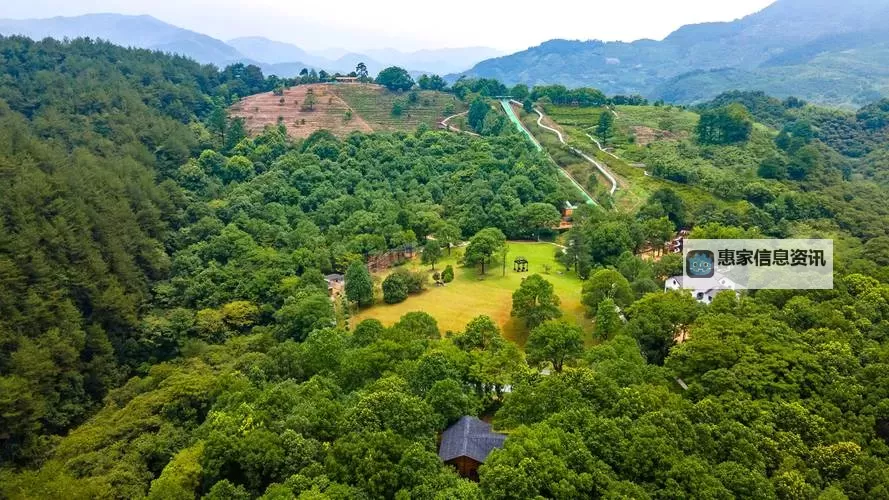 探索最新热门美女脱衣服的APP推荐与安全指南图1