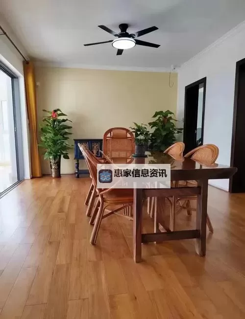 探秘柚木 Rio:热带木材的自然魅力与应用图1