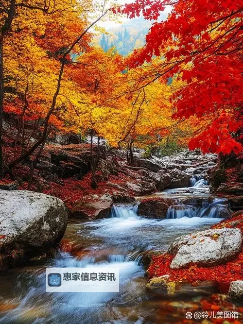 日韩中文字幕无码更新:最新动态全解析图1