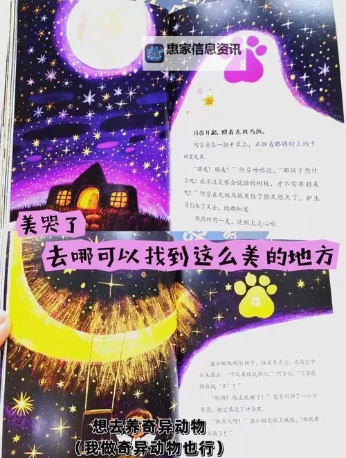 探索奇幻世界:91九色蝌蚪窝的神秘冒险图1