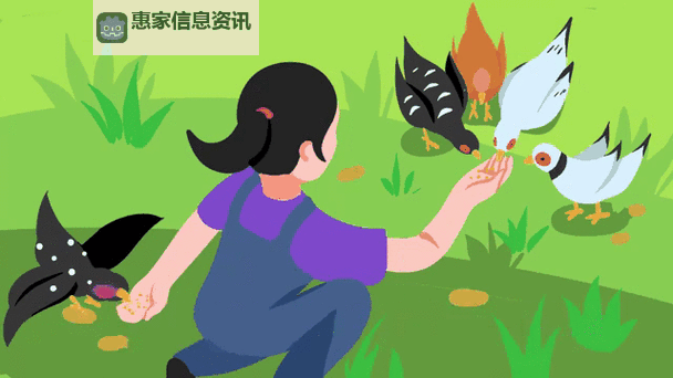 在课上用鸡插英语课代表视频:趣味教学新体验图1