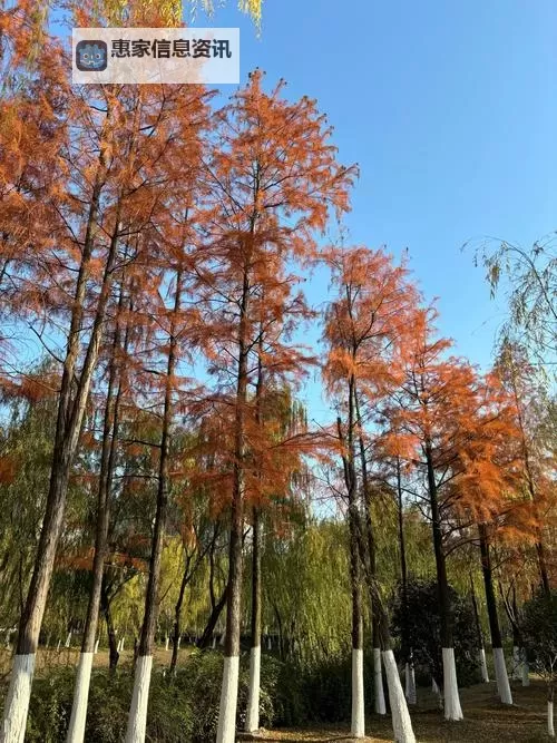 探索生活的多彩瞬间:色色拍拍带你领略别样精彩图1