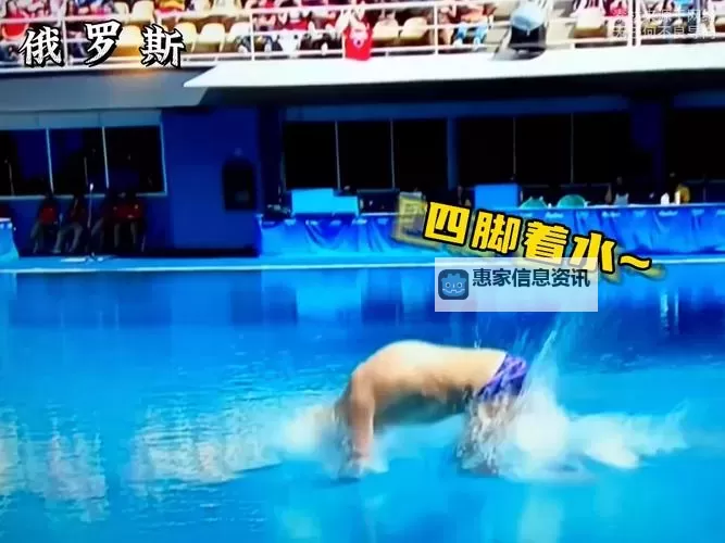 2009跳水失败原版揭秘:意外瞬间全记录图1