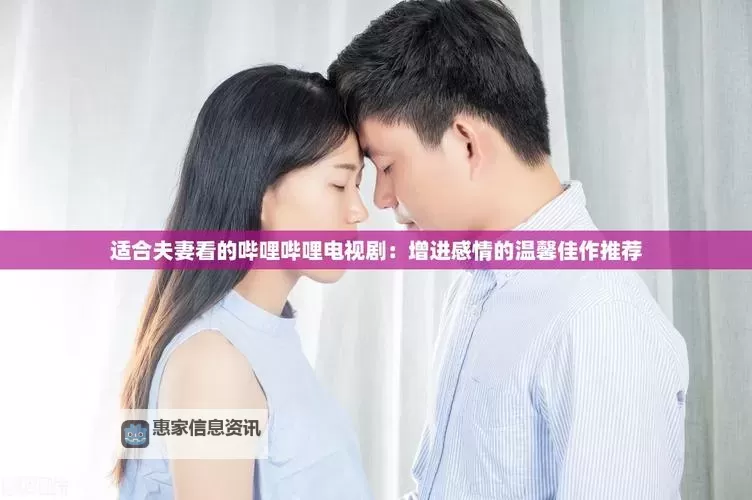 适合夫妻观看的哔哩哔哩电视剧推荐与精选佳作图1