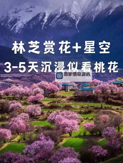 五月天桃花网色综合:最新动态与精彩内容全盘解析图1