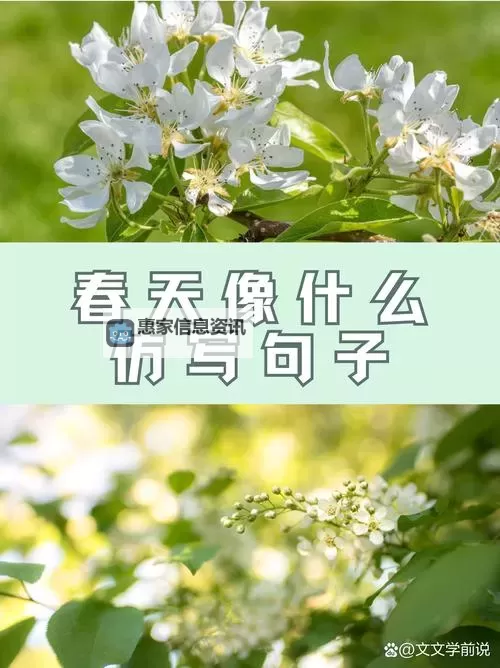 有一婷婷色:春日里的温柔与希望图1