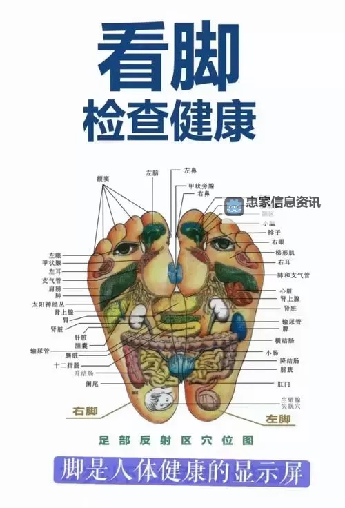 探索足jiao的奥秘:健康与美丽的关键区域图1