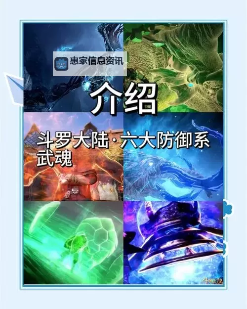 斗罗大陆所有防御系武魂全面盘点与详解图2