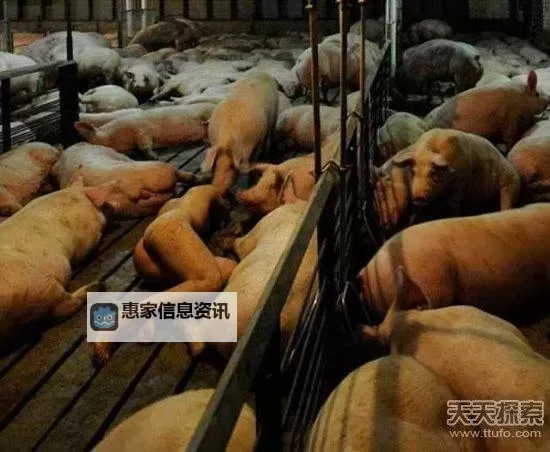 赵欣丝绸舞台事故引发关注:幕后的真相揭秘图2