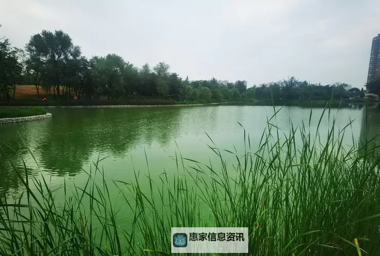 糖心中文字日产幕日产区高清无码:精彩内容全解析图1