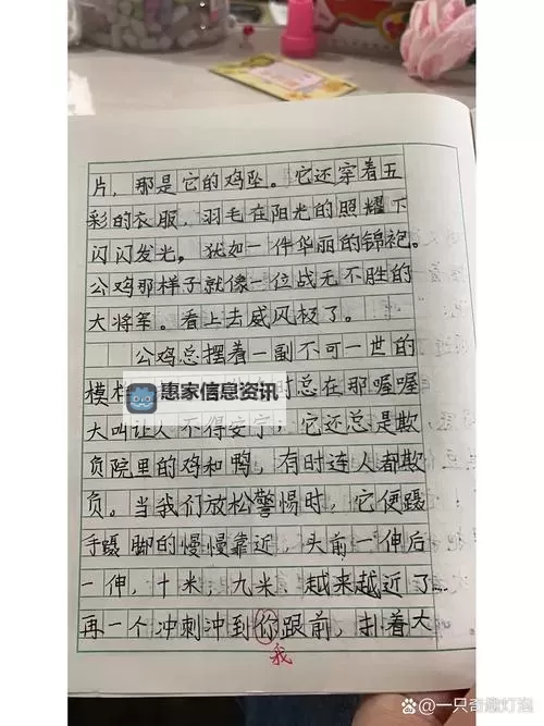 我的奇趣经历:坐在学长鸡上面写作文作业的趣事图1