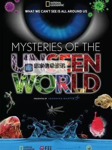 探索未知之门：揭秘天堂X的神秘世界图1