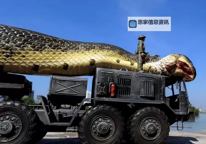 2021远古恐惧出装全攻略丨最佳装备推荐解析图2