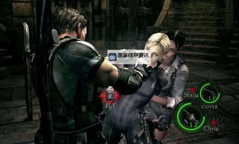 全面详解生化危机5攻略技巧：新手与老手必看指南图1