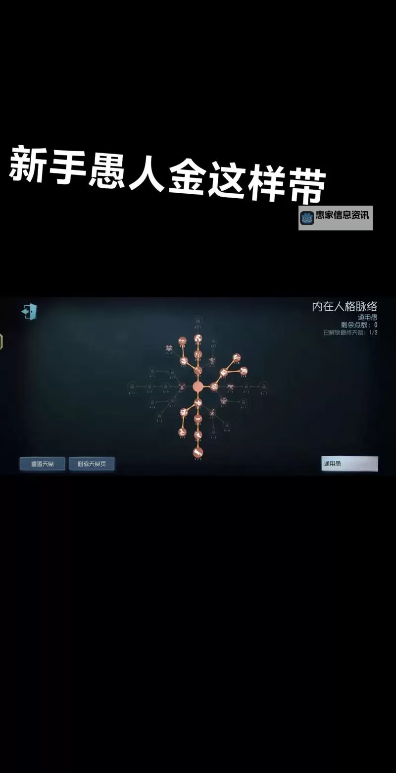 金系怎么加点好：最全加点攻略与实用建议图1