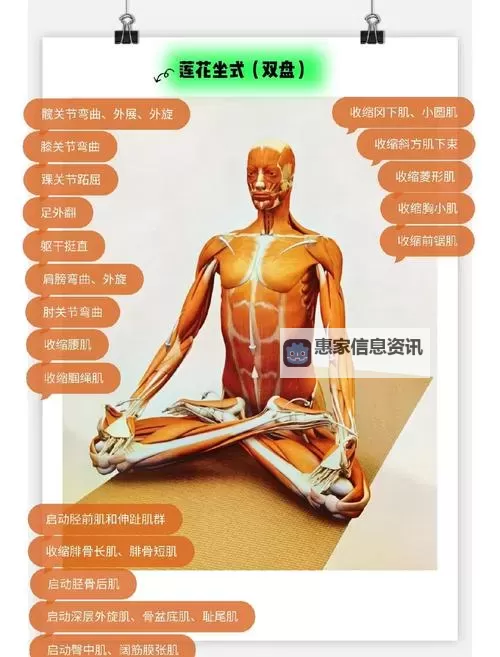 双盘腿打坐的好处与坏处：全面解析其利与弊图1