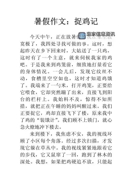 奇趣体验:我坐在学长鸡上面写作文作业图1