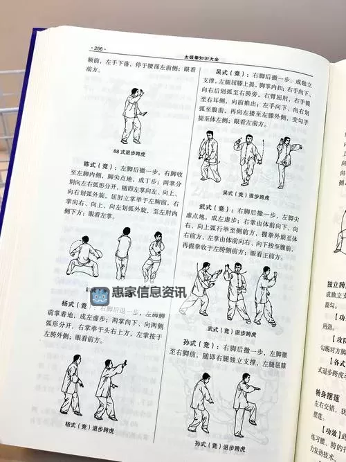 九阴真经秘诀大全：全面揭示武学精要与修炼指南图2