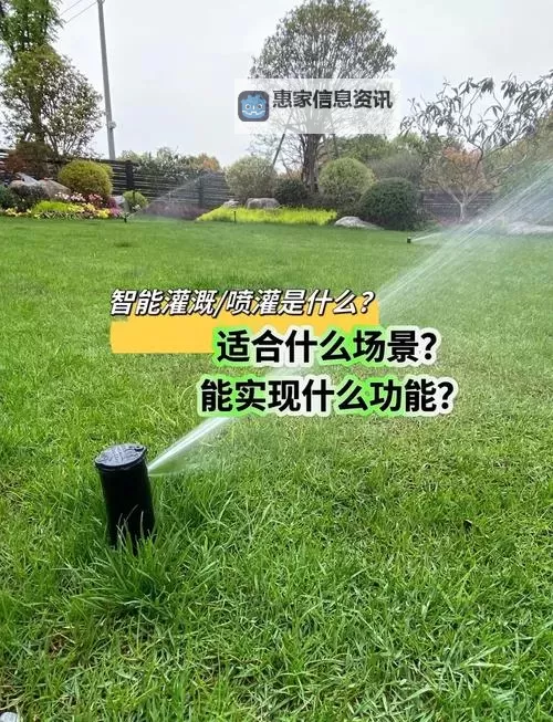 提升农业效率：优质jy灌溉系统NPC全面解析图1