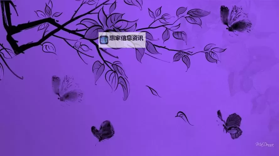 紫蝴蝶百度影音免费在线观看介绍与精彩片段分析图1