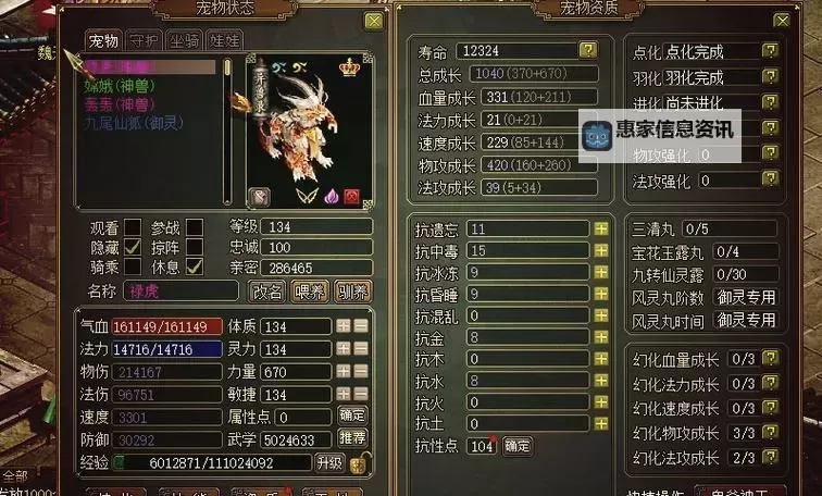 问道体木用什么坐骑—选择最佳伴侣提升战力指南图1