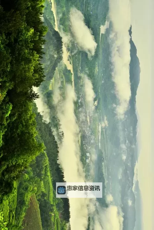 动漫裸体美女在线观看:高清互动体验尽在其中图1