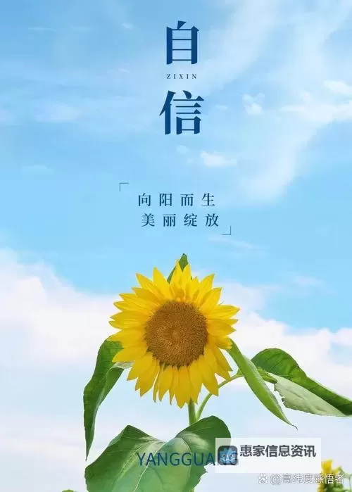 点亮希望之光:探索正能量www天堂的美好力量图1