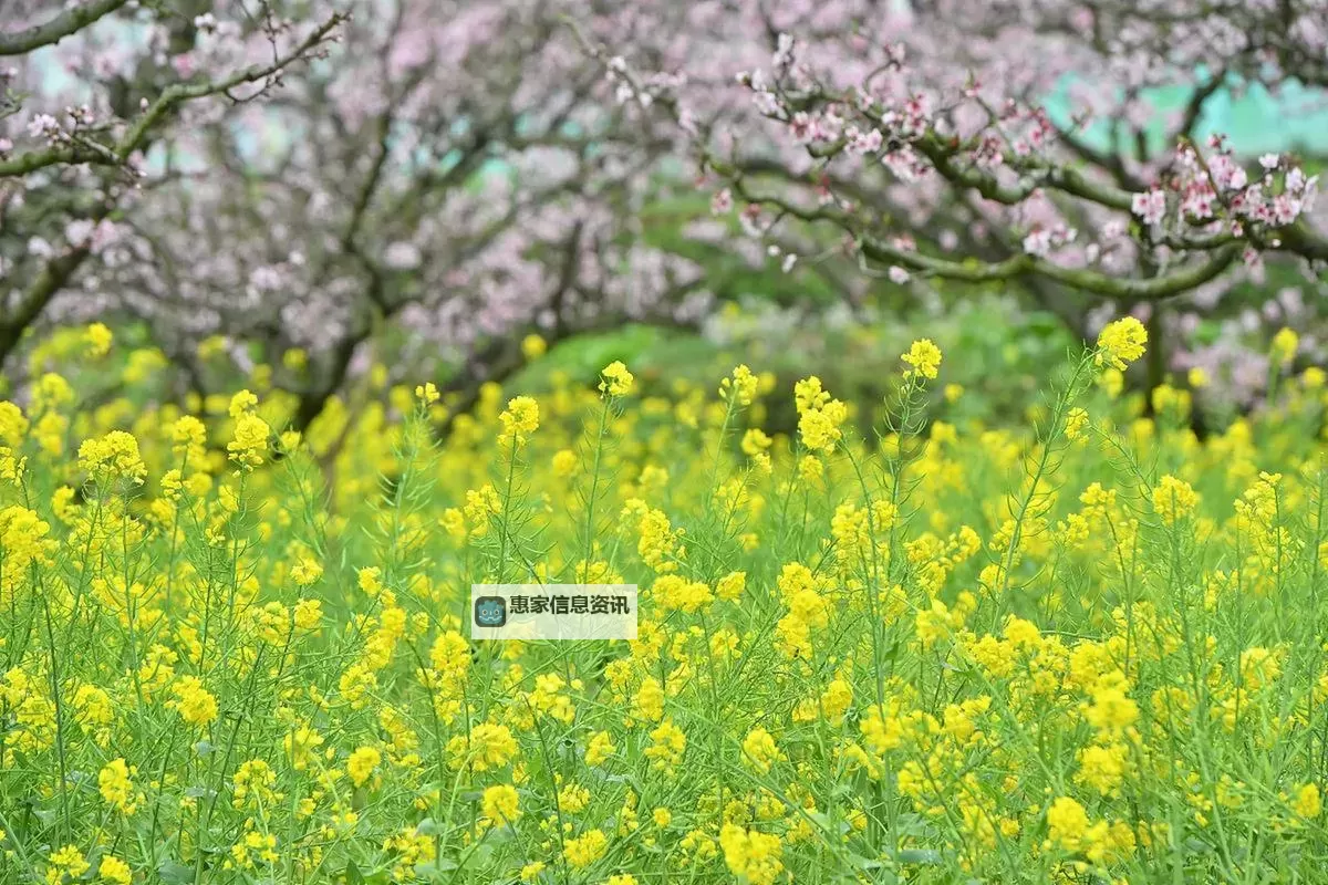 【攻略指南】dnf装备强化了怎么改成增幅:详细操作步骤解析图1