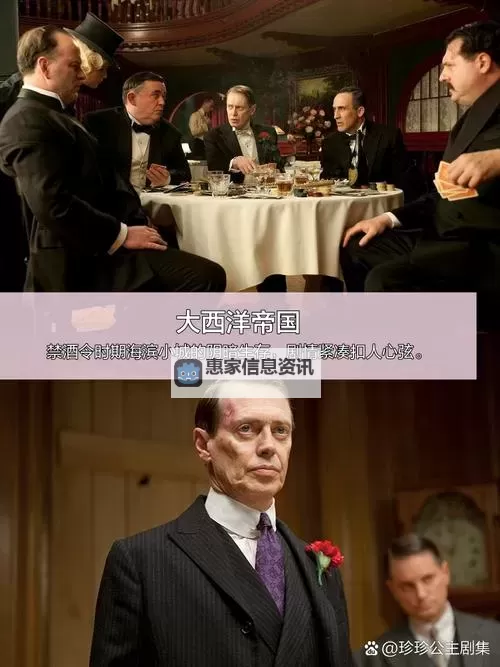 我的黑帮大佬第2季免费播放美剧tv:精彩续集引爆观众热潮图1