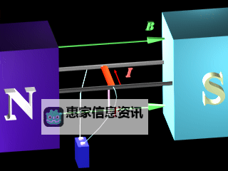 探索生态系统动态:Holling圆盘实验的原理与应用图1