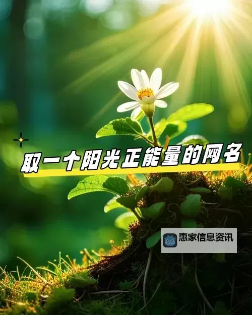 传递温暖与希望:探索正能量网站www正能量网站的无限力量图1