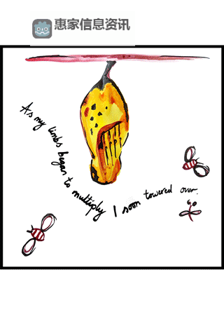 探索多元创意:真人动态交插图视频的精彩表现图1